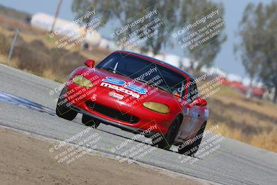media/Oct-14-2023-CalClub SCCA (Sat) [[0628d965ec]]/Group 4/Qualifying/